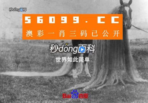 澳门一肖一码一必中一肖同舟前进,高效方法评估_DP33.534