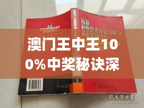 澳门王中王100%期期中,理论解答解释定义_标配版80.584