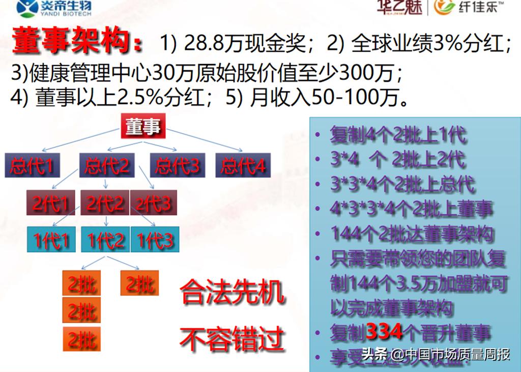 2024年11月19日 第7页