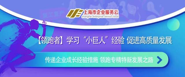 7777788888王中王中特,可靠策略分析_安卓版28.732