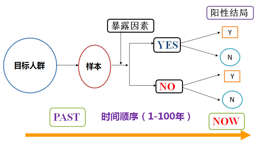 新门内部资料精准大全,实地研究解析说明_专家版77.365