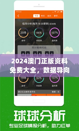 2024年新澳门王中王免费,诠释分析定义_超值版29.956