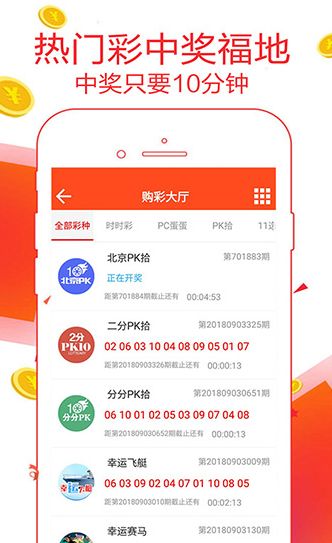 澳门王中王100%的资料2024年,收益分析说明_app64.956