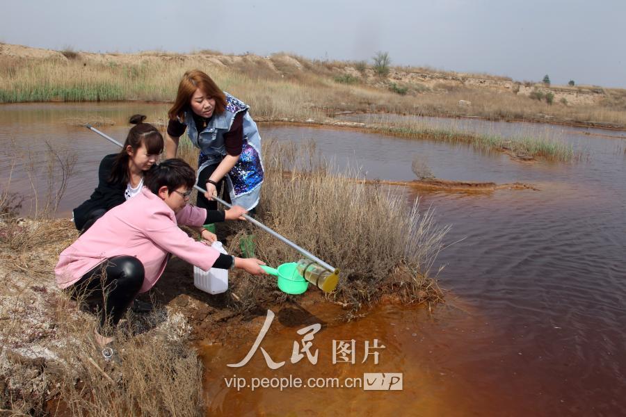 大城环保局推动绿色转型，共建美好未来新篇章