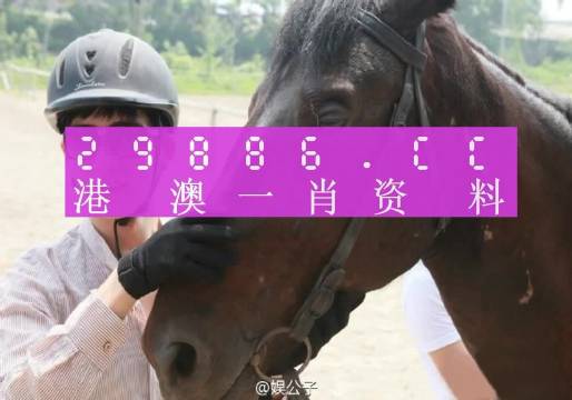 澳门必中一肖一码第一个,全面数据解释定义_专家版38.617