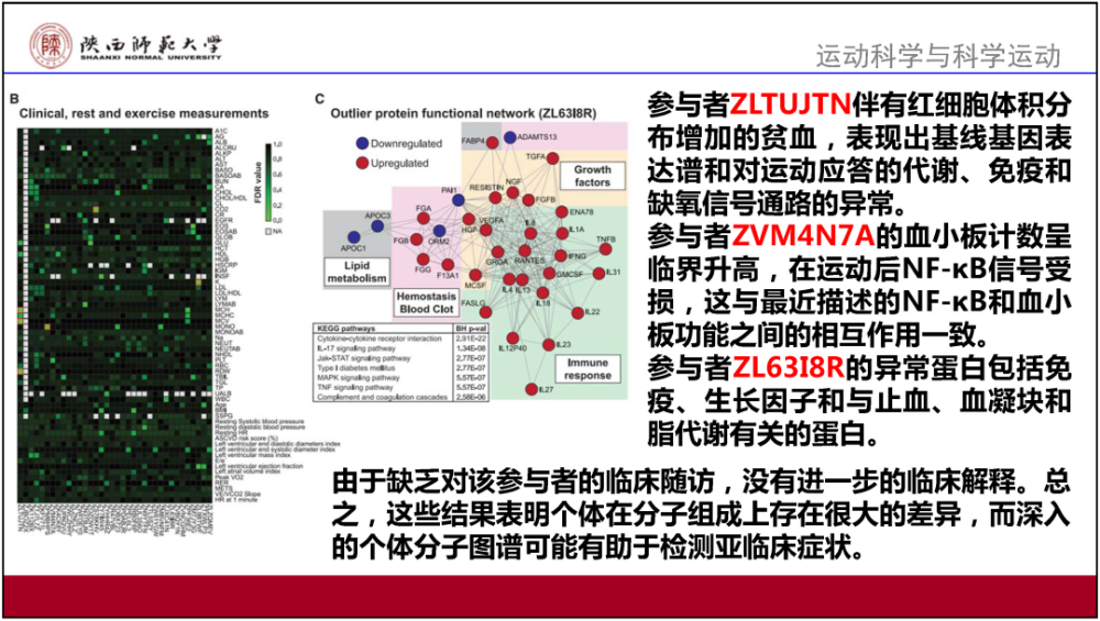 626969澳彩资料大全2020期 - 百度,专家意见解释定义_探索版54.915