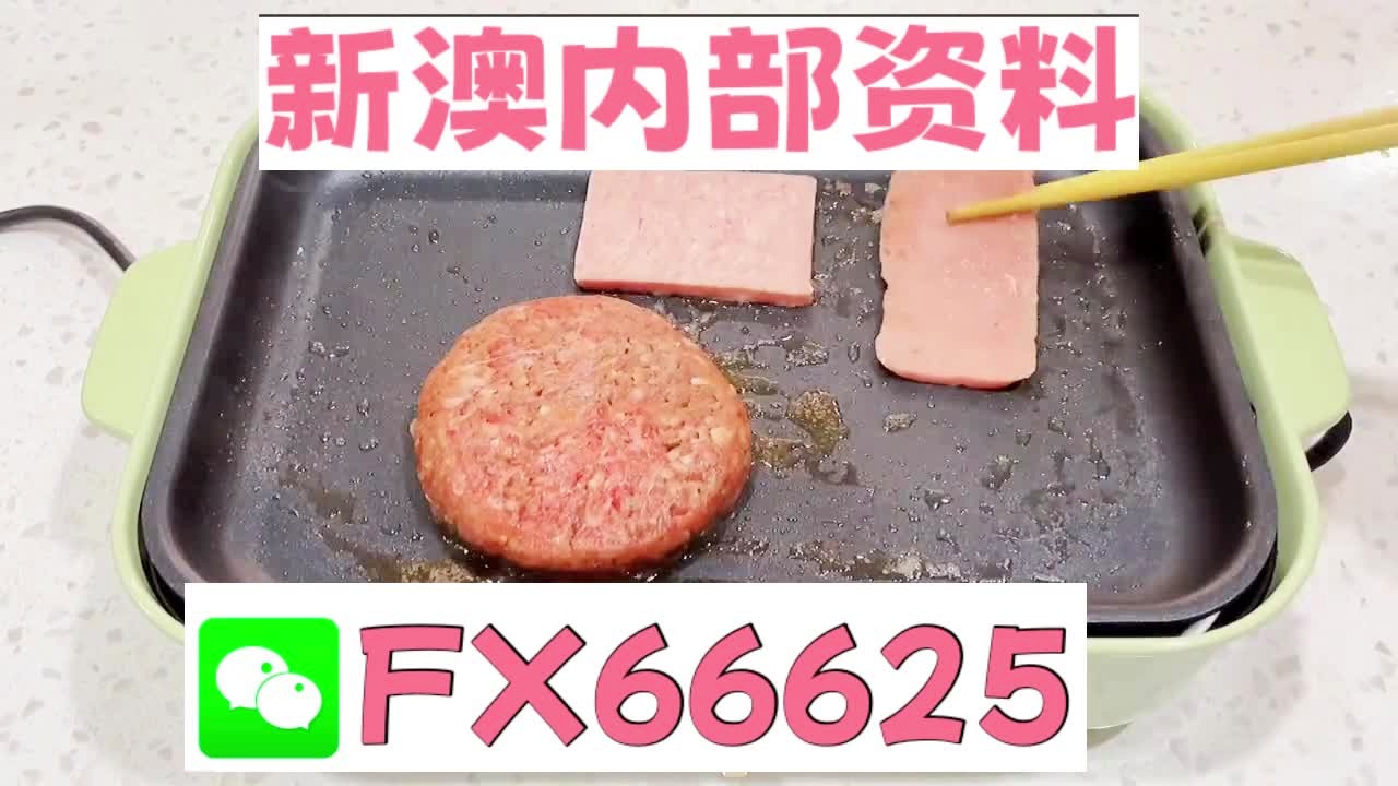 新澳门精准10码中特,高效说明解析_特供版28.709