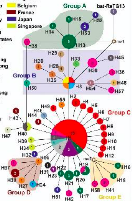 新澳资料大全正版2024金算盘,全面数据应用分析_Harmony款18.746